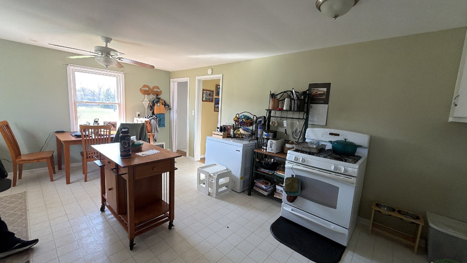 Copy of IMG_2026-03-12_16-20-25_847.jpg