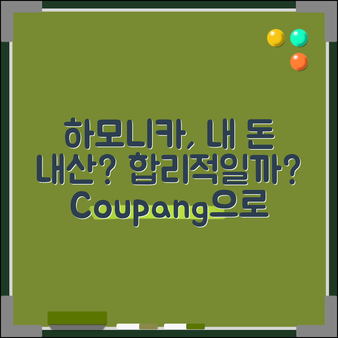 하모니카, 내 돈 내산 합리적일까요?