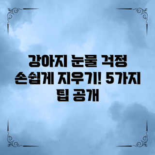 강아지눈물자국제거, 간단한 팁, 반려동물 초보자, 눈물자국 관리, 애Dog 눈물 영양