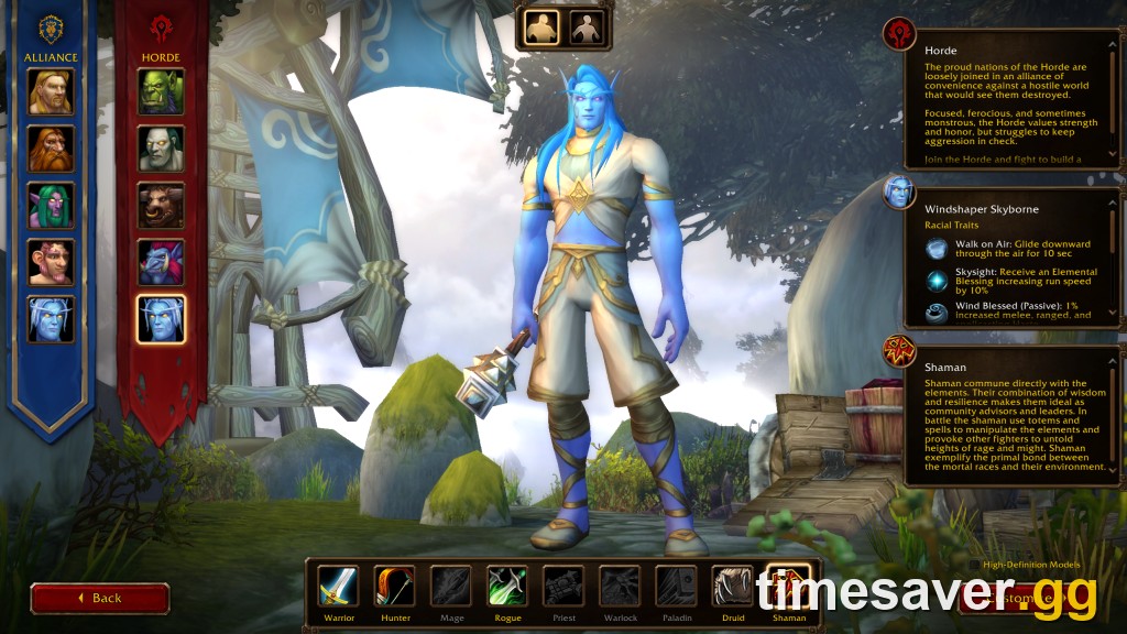 WoW Forever character creation and customization screen
