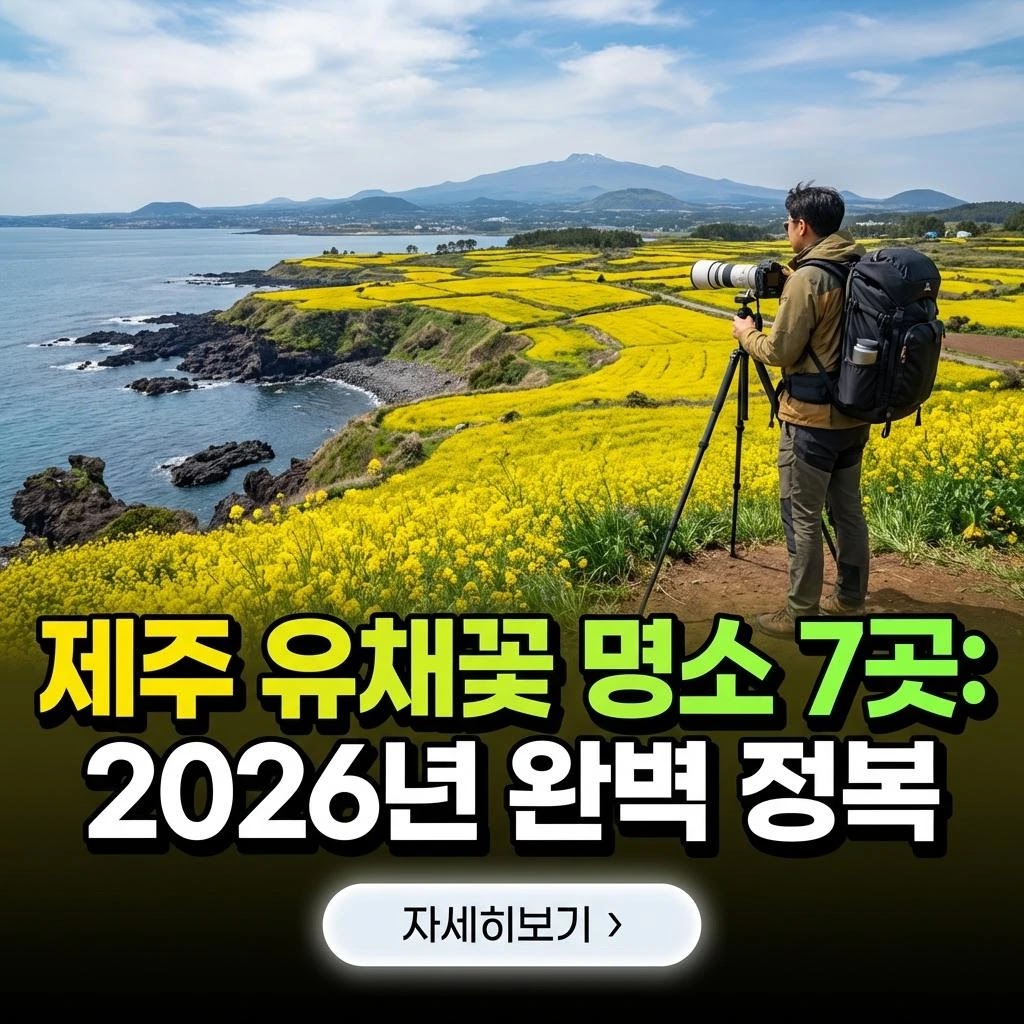 제주 유채꽃 명소 7곳: 2026년 완벽 정복