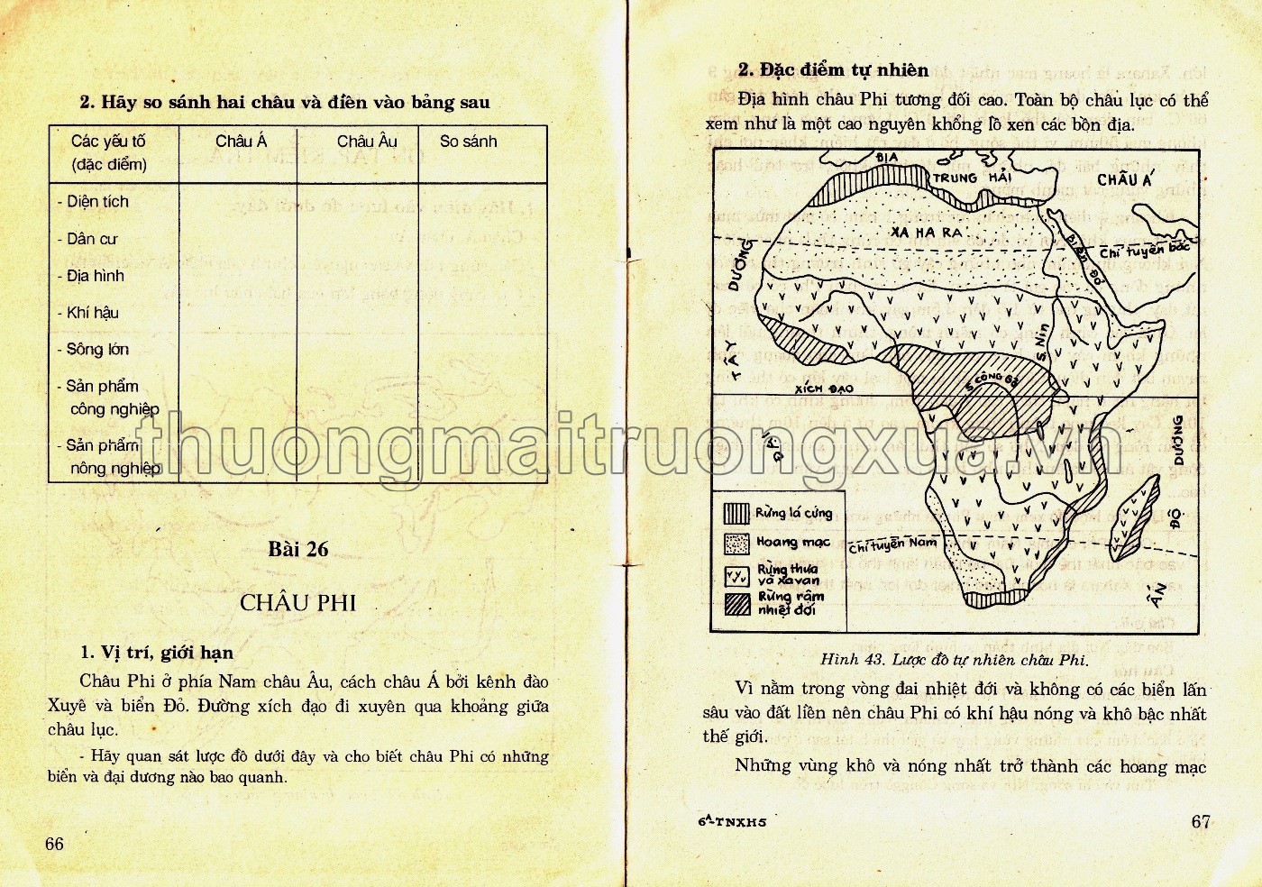 Tự nhiên và xã hội 5 (1994) - Trang 107