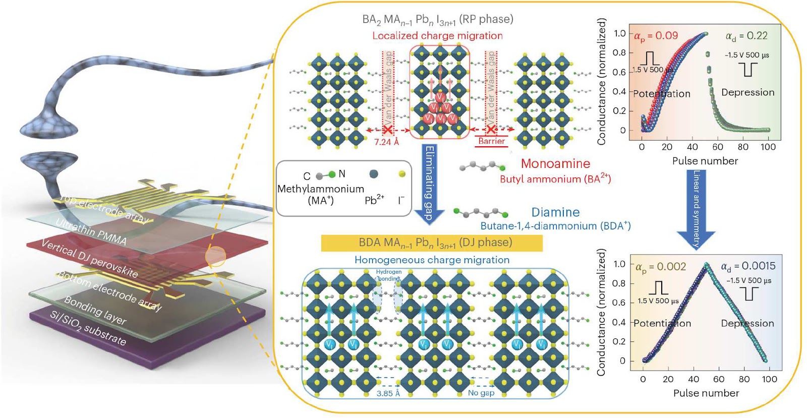 Two-dimensional halide perovskite memristor arrays: linearly programmable for neuromorphic computing