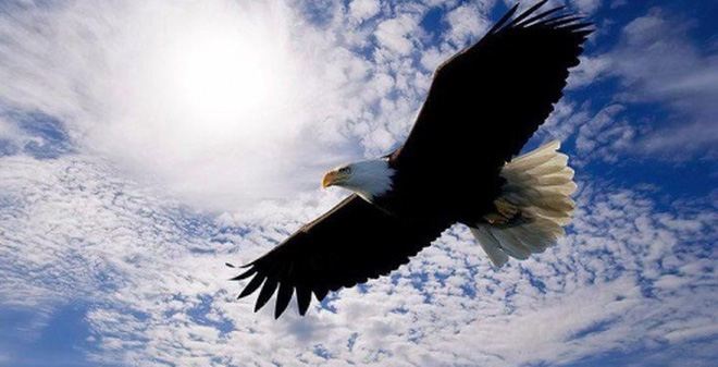 ga-khac-dai-bang-ra-sao-1