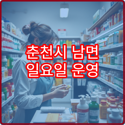 춘천시 남면 일요일 운영 중인 당직 약국 위치 안내