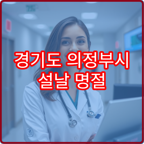 경기도 의정부시 설날 명절 내과 연휴 진료 병원 고혈압·소화불량·감기 응급 관리 가능