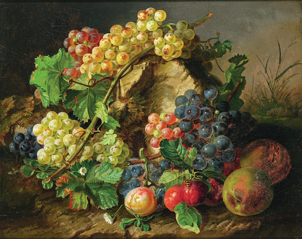 Fruit Still Life with Grapes Apples and a Wasp