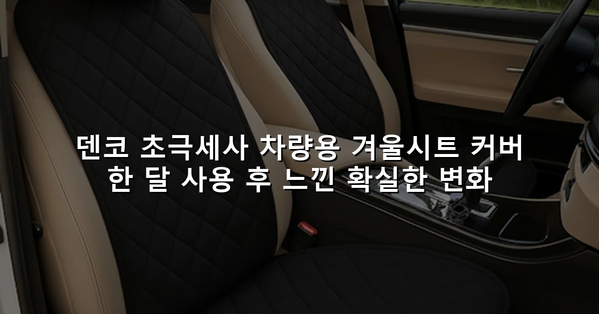 덴코 초극세사 차량용 겨울시트 커버 한 달 사용 후 느낀 확실한 변화