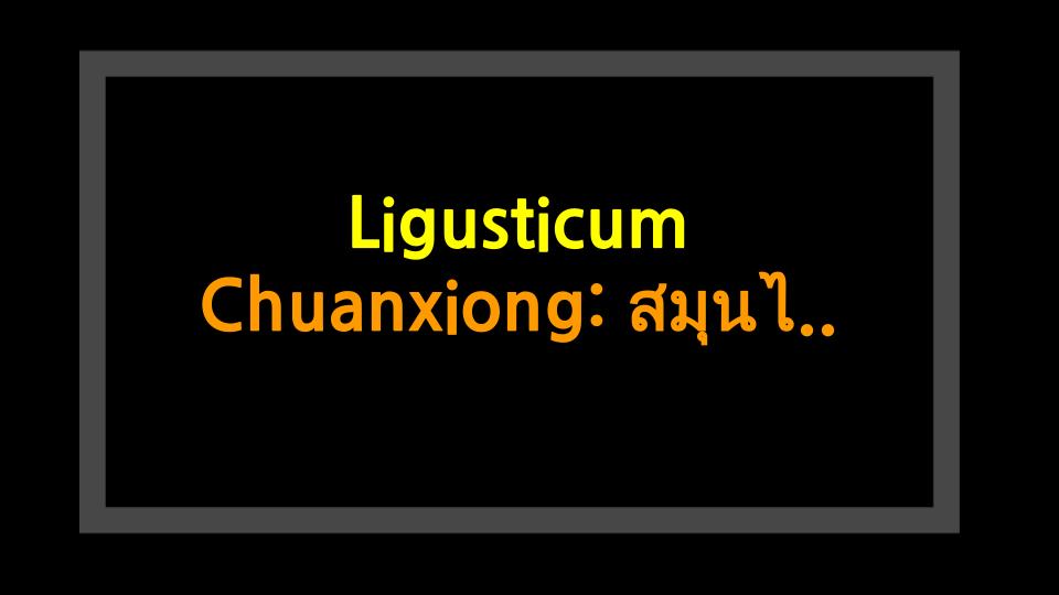 Ligusticum Chuanxiong: สมุนไพรสุดลับที่คุณต้องรู้!