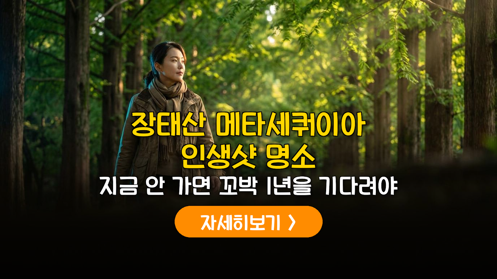 장태산 메타세쿼이아 숲 실패 없는 방문 가이드