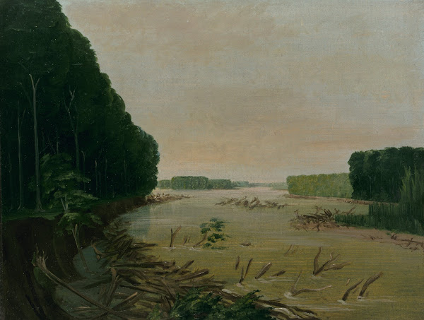 View On The Missouri Alluvial Banks Falling In 600 Miles Above St Louis 1832