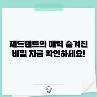 제드텐트, 캠핑 초보, 야외 활동, 텐트 선택, 캠핑 장비