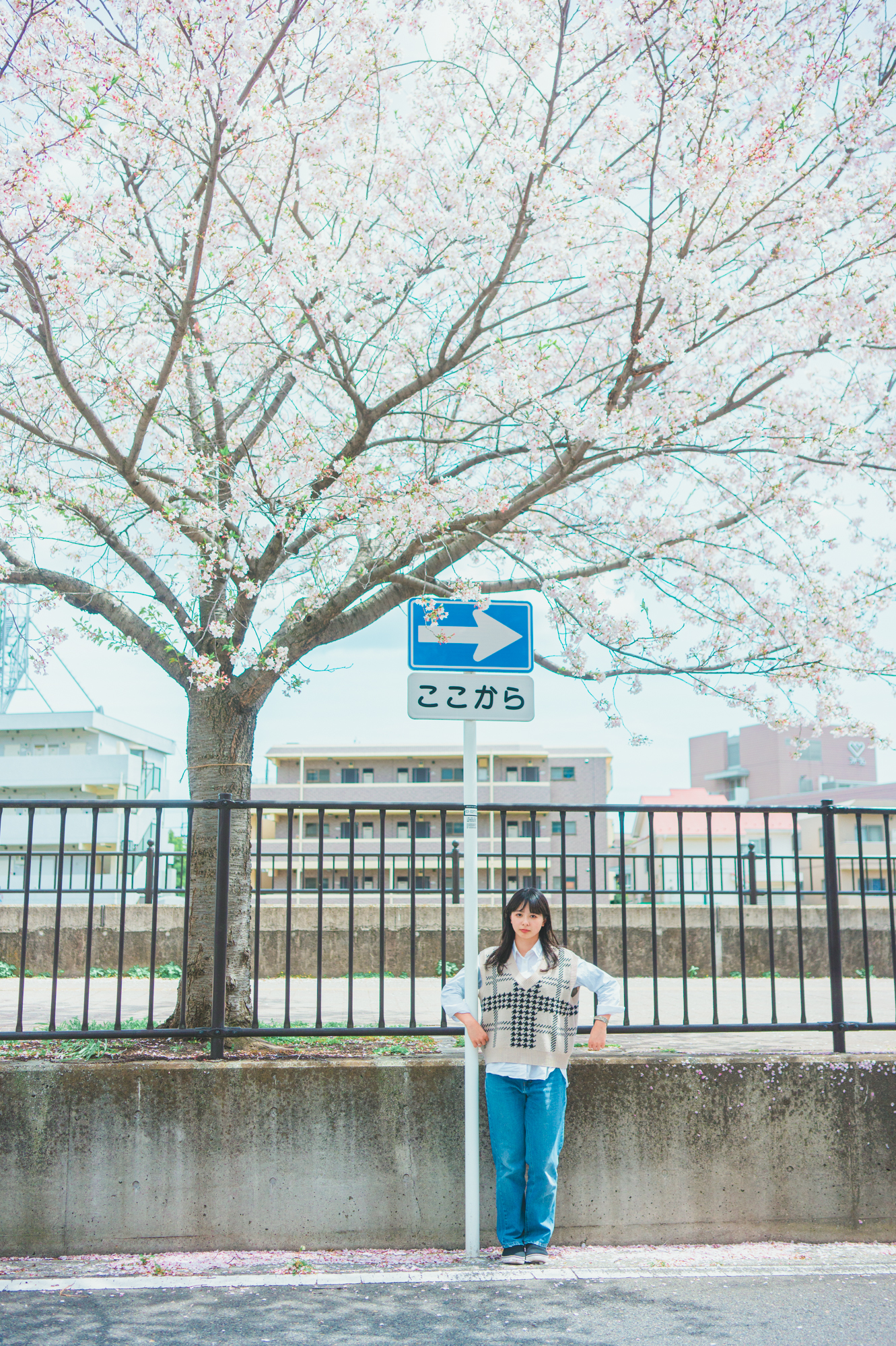Portrait — Makino Shota