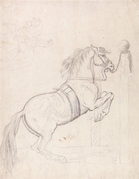 Training at the Pillar Horse Wearing Bridle and Surcingle