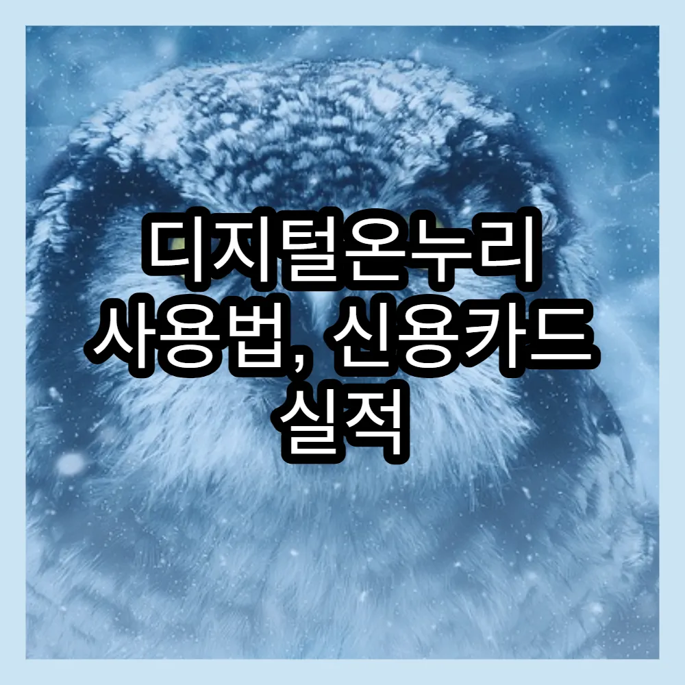 디지털온누리 사용법, 신용카드 실적 올리기 팁