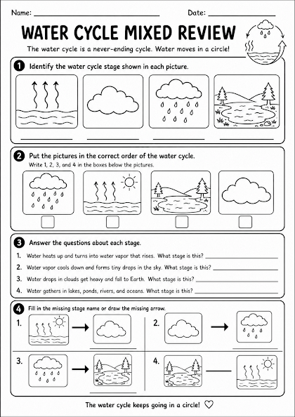 Water Cycle Mixed Review