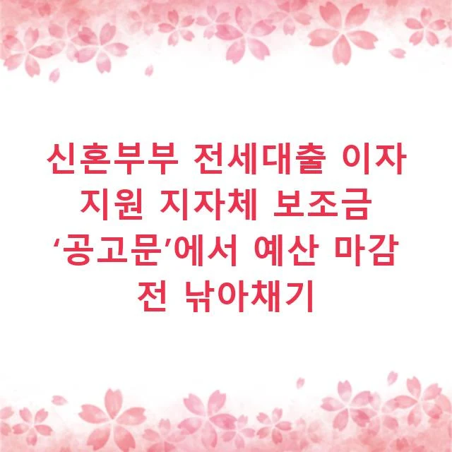 신혼부부 전세대출 이자 지원 지자체 보조금 ‘공고문’에서 예산 마감 전 낚아채기