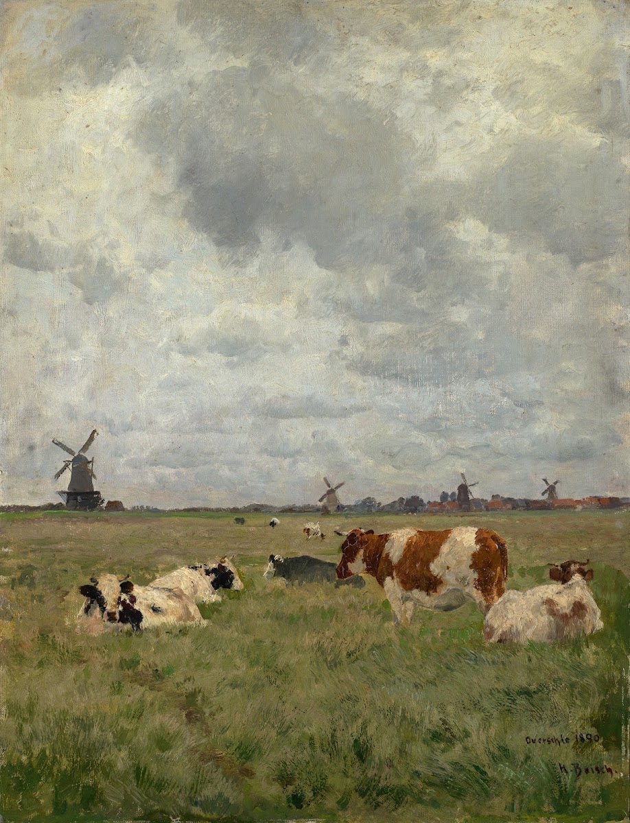 Rinder auf der Weide bei Overschie 1890
