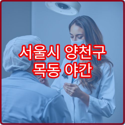 서울시 양천구 목동 야간 진료 가능한 내과 증상 발생 시 참고하기 좋은 병원 정보