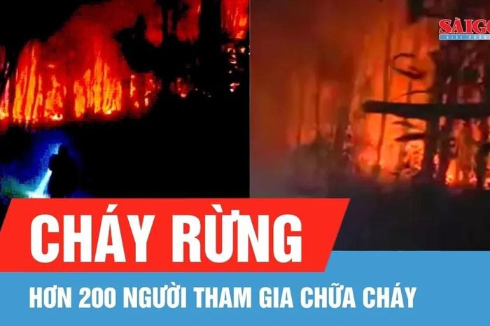 Hàng trăm người tham gia chữa cháy rừng ở Nghệ An - Báo Sài Gòn Giải Phóng