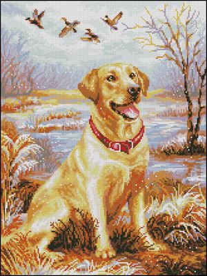 CMP 400973 Pattern