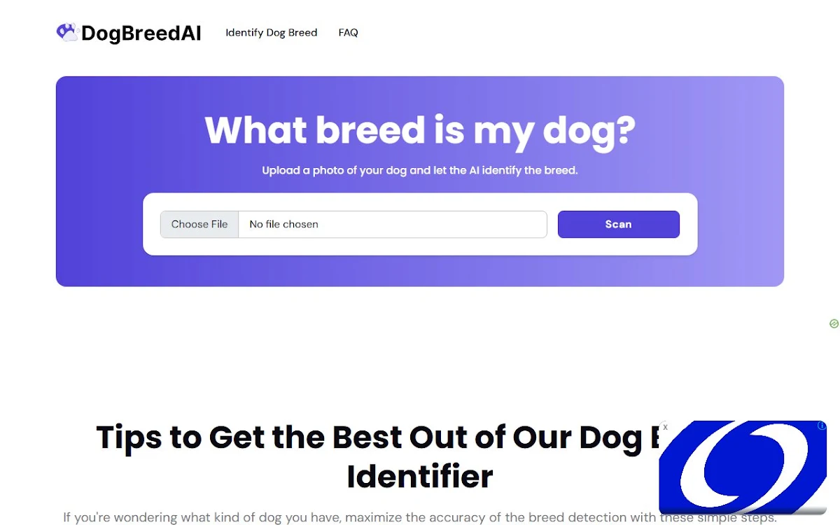 Captura de Dog Breed AI
