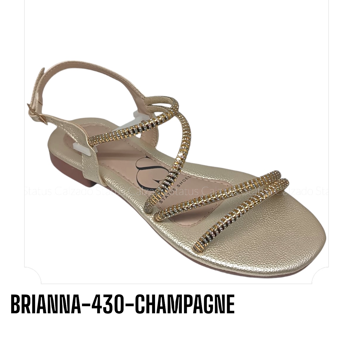 BRIANNA-430-CHAMPAGNE