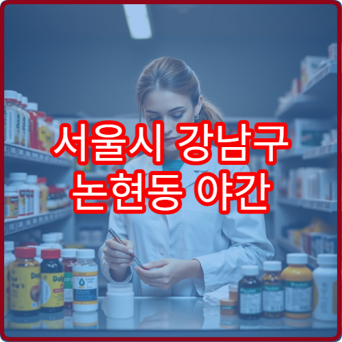 서울시 강남구 논현동 야간 약국 늦은시간 방문 가능한 약국 안내