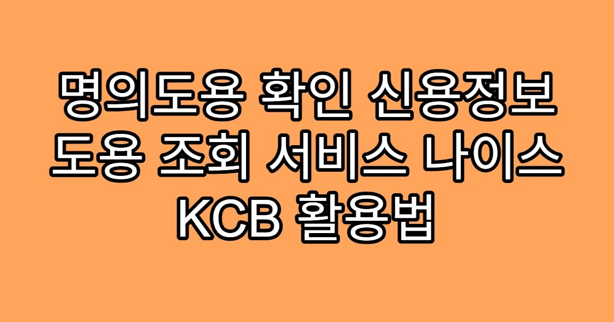 명의도용 확인 신용정보 도용 조회 서비스 나이스 KCB 활용법