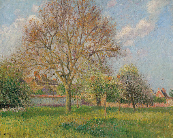 Le grand noyer à Éragny après midi 1900