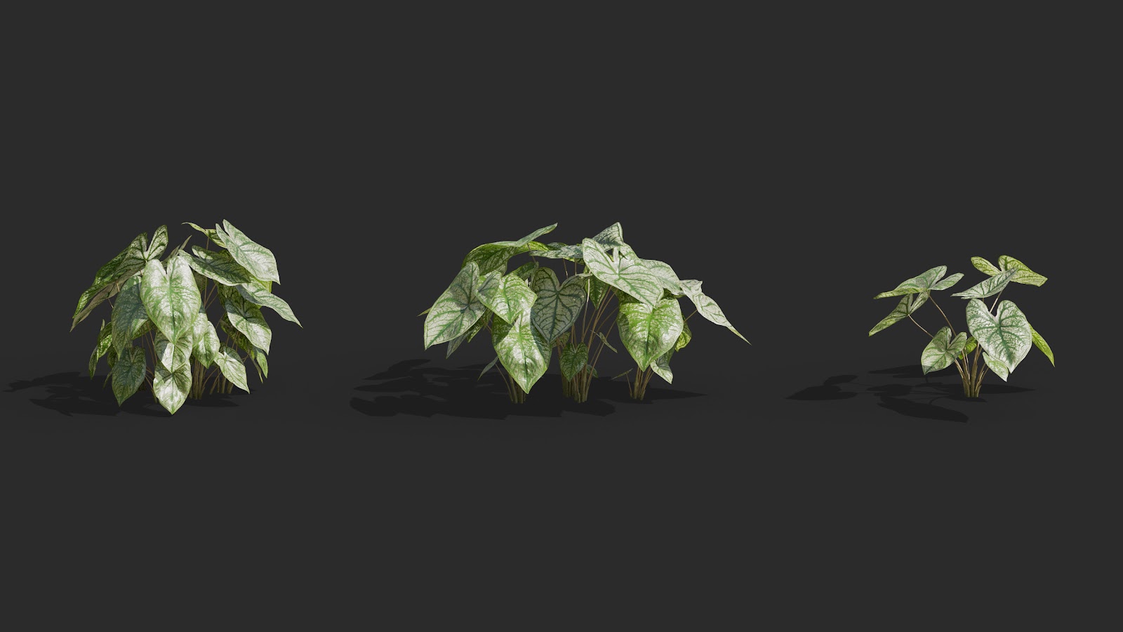 Maxtree - Plant Models Vol.62