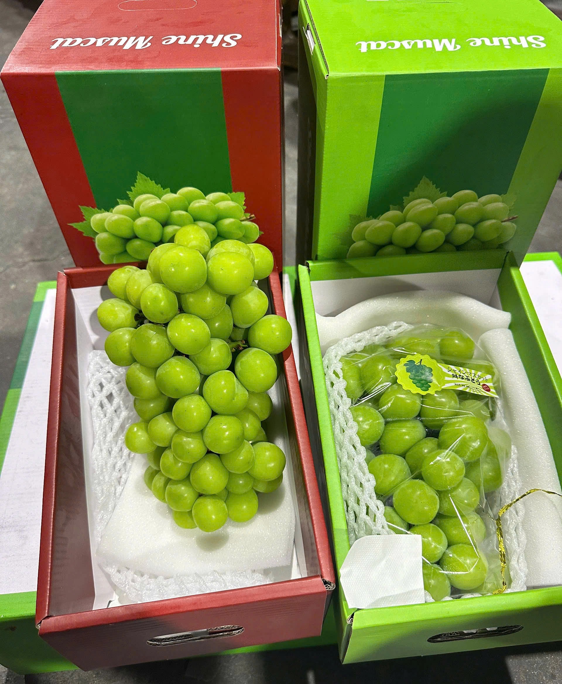 Nho mẫu đơn Shine Muscat VIP 