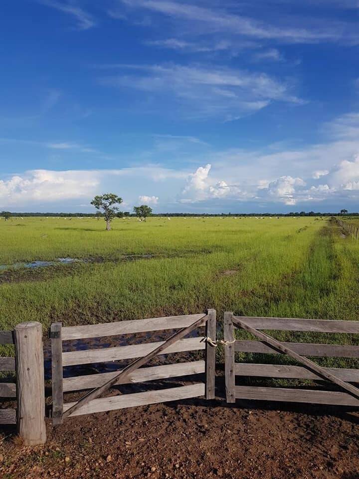 Fazenda em Mato Grosso divisa com Goiás 2