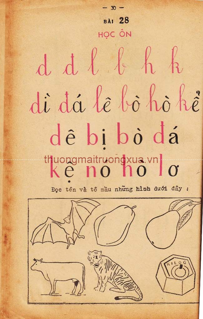 Tập san : Mực tím (số đặc biệt VÒM ME XANH - 1994) - Trang 30