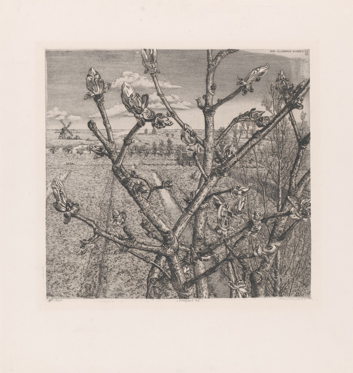 Voorjaar 45 1946