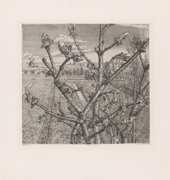 Voorjaar 45 1946