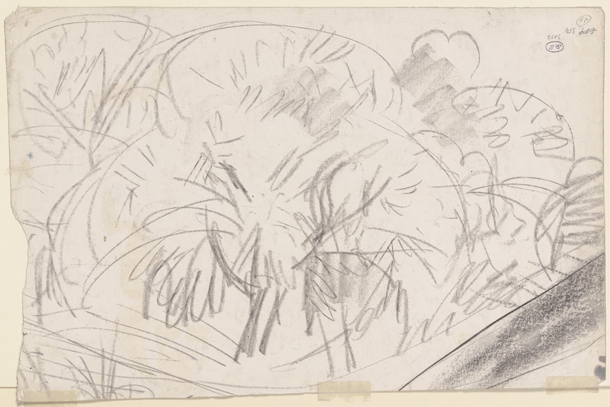 Group of trees ca 1913