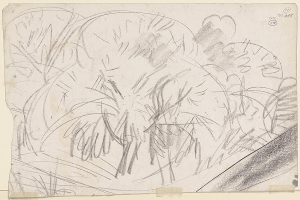 Group of trees ca 1913