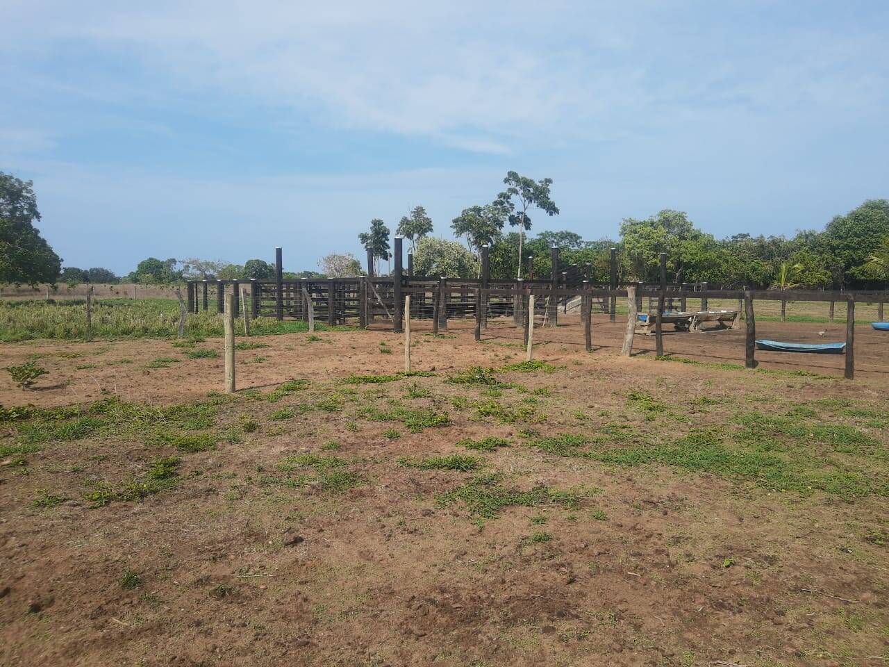 Fazenda em Niquelândia - GO 3