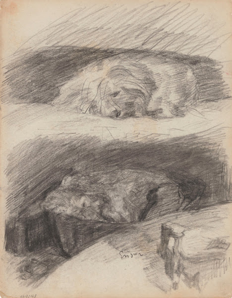 Sleeping Dogs 1880 1883