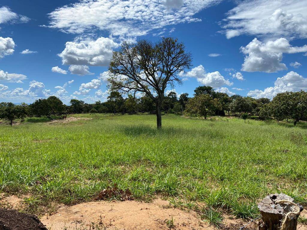 Fazenda em Piranhas-GO 3