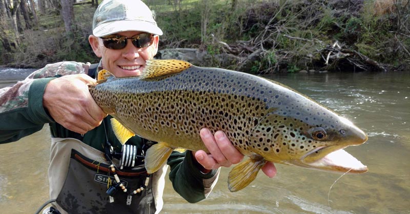 Rainbow trout caught fishing in North Georgia near Orchard & Vine Mountain Haus