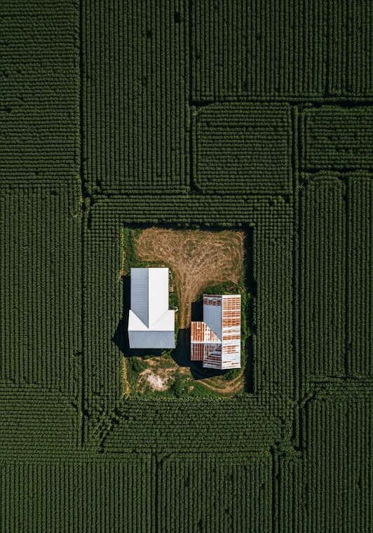 Farmhouse Surrounded by Corn Fields