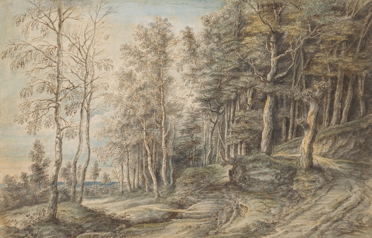 Boslandschap 1605   1673