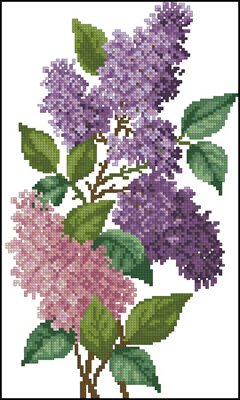 CMP 200648 Pattern