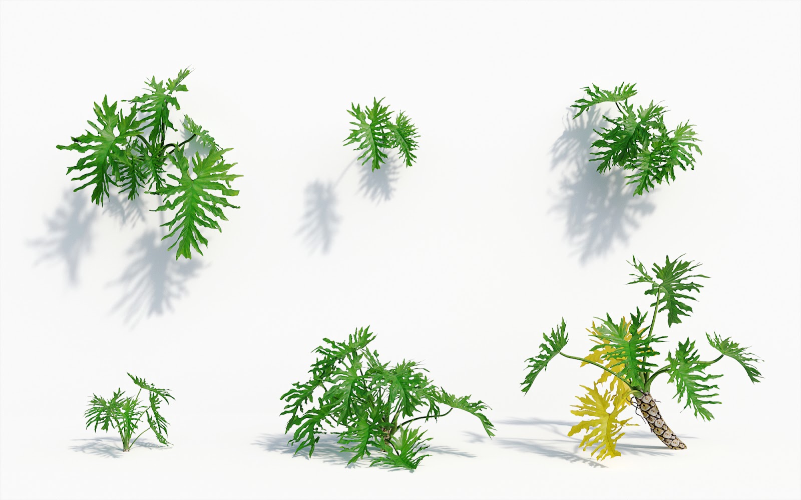 Maxtree - Plant Models Vol.8