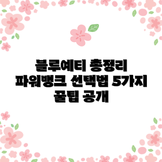 블루예티파워뱅크, 초보자 가이드, 모바일 충전기, 야외 활동, 전원 장치 선택
