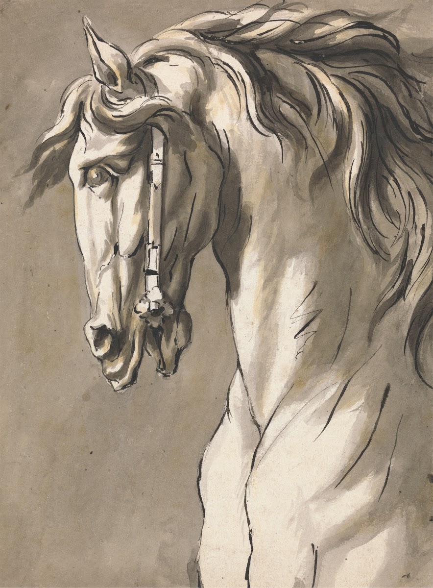 Study of a Horses Head