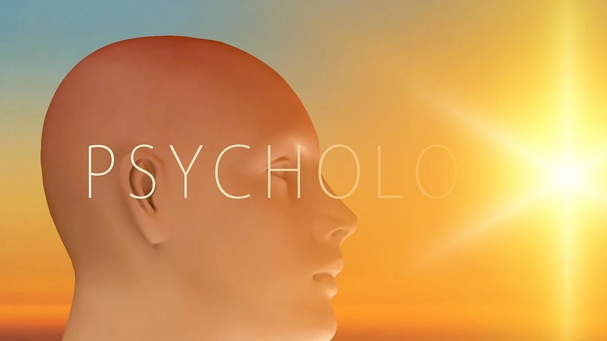 확증편향과 인지부조화, 심리적 차이와 상호작용 방식