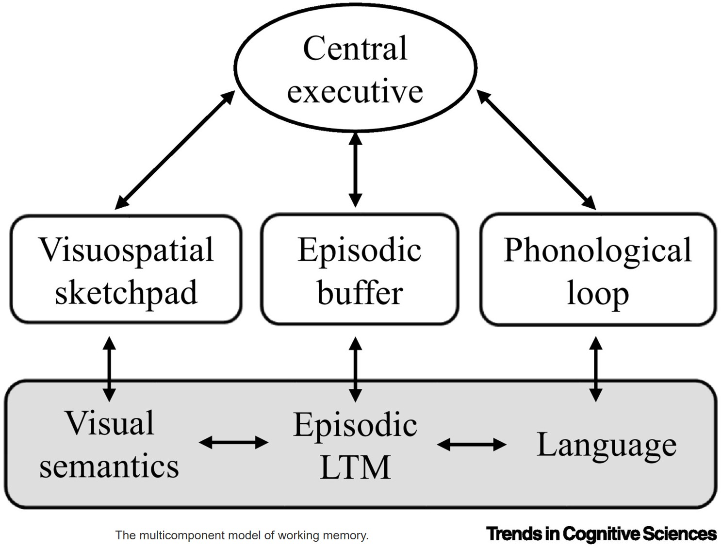 Awareness as the heart of working memory